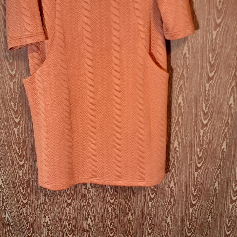 SHARAGANO WOMEN BURNT ORANGE DRESS WOMEN'S SIZE 14W - Picture 4 of 7